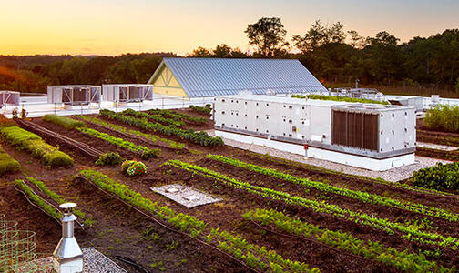 be0161 top 5 reasons liquid waterproofing hero Thumbnail